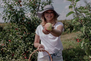 Lächelnde mittelgroße erwachsene Frau mit Hut, die einen Apfel zeigt, während sie in einem Obstgarten steht - OGF00588
