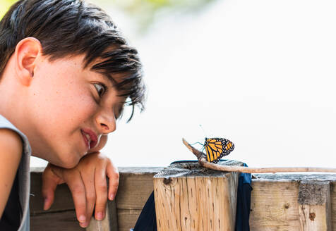 Ein kleiner Junge betrachtet einen Monarchfalter, der sich auf einem Geländer ausruht. - CAVF89159