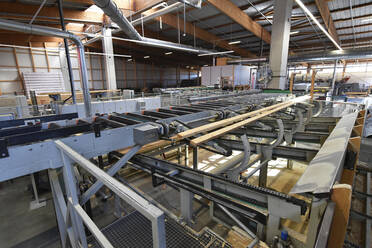 Planks being processed in lumberyard - LYF01023