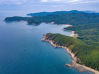 Aerial view of forested coastal cliffs - KNTF05381