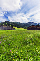 Wiese vor den rustikalen Scheunen im Tannheimer Tal - THAF02838