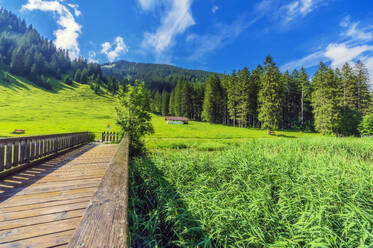 Kleine Holzbrücke im Tannheimer Tal - THAF02840