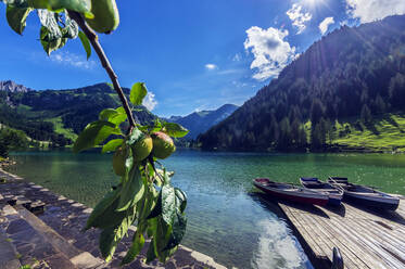 Motorboote am Ufersteg im Tannheimer Tal - THAF02843