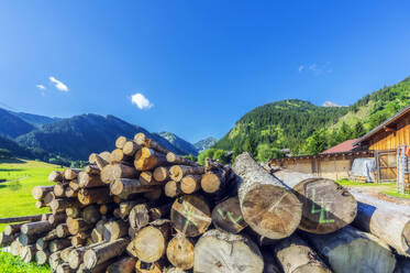 Holzstapel, der im Sommer draußen liegt - THAF02848