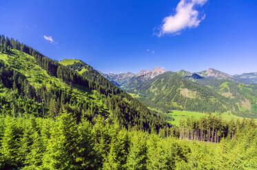 Österreich, Tirol, Grüne Landschaft des Tannheimer Tals im Sommer - THAF02852