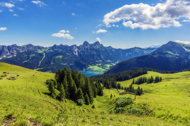 Österreich, Tirol, Grüne Landschaft des Tannheimer Tals im Sommer - THAF02854