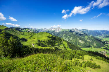 Österreich, Tirol, Grüne Landschaft des Tannheimer Tals im Sommer - THAF02858