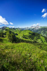Österreich, Tirol, Grüne Landschaft des Tannheimer Tals im Sommer - THAF02859