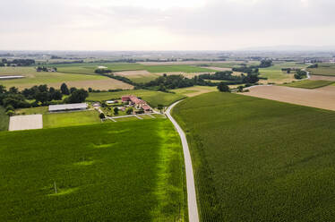 Drohnenansicht von Feldern auf dem Land - MEUF02056