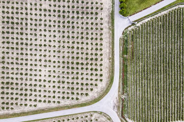 Drohnenansicht einer Landstraße, die sich zwischen landwirtschaftlichen Feldern erstreckt - MEUF02062