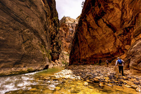 Wandern entlang des Sand Hollow Trail, Utah, Vereinigte Staaten von Amerika, Nordamerika - RHPLF17504