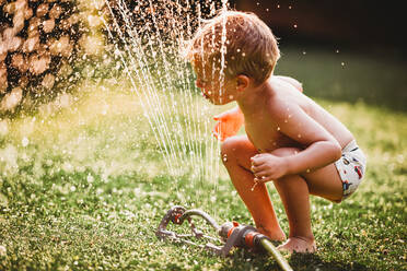 Kind streckt die Zunge heraus und trinkt Wasser aus dem Rasensprenger im Hinterhof - CAVF89251