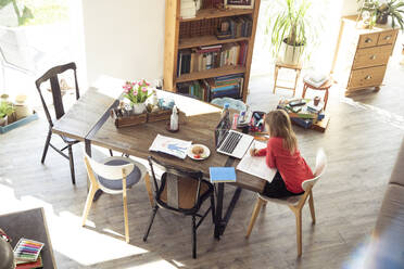 Girl studying on dining table at home - FKF03852