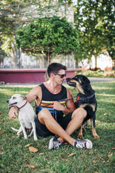 Hübscher Mann mit Hunden auf einer Wiese im Park sitzend - DCRF00867