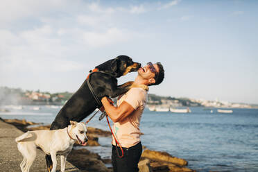 Fröhlicher Mann mit Sonnenbrille spielt mit Hunden am Strand gegen den Himmel - DCRF00871