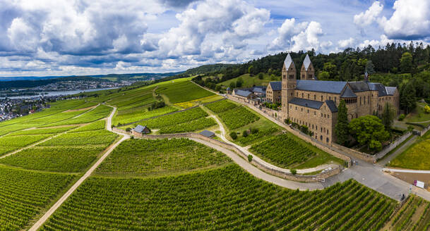 Deutschland, Hessen, Eibingen, Hubschrauberpanorama der Weinberge vor dem Kloster Eibingen im Frühherbst - AMF08474