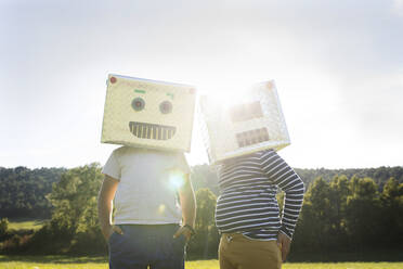 Brothers with cardboard box on face standing in meadow - VABF03516