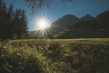 Italien, Südtirol, Corvara, Sonnenuntergang über einer Wiese in den Dolomiten - FMOF01066