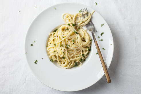 Plate of spaghetti with fettuccine Alfredo sauce - SBDF04329