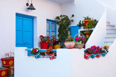 Koufonisi Insel Haus Dekoration mit blühenden Pflanzen, Koufonisi, Kykladen Inseln, Griechische Inseln, Griechenland, Europa - RHPLF17596