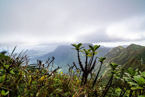 Der Blick vom Stairway to Heaven auf Oahu, Hawaii - CAVF89347