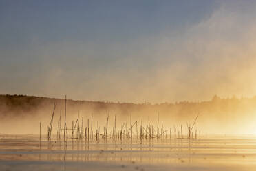 Goldener Morgennebel steigt am Morgen in Maine vom See auf - CAVF89399