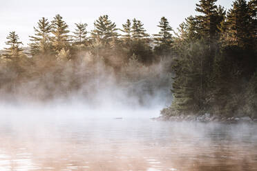 Frühmorgens steigt Nebel aus dem ruhigen Wasser des Bald Mountain Pond in Maine auf - CAVF89400