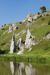 Steinerne Jungfrauen rock formation, Eselsburger Tal Valley, Herbrechtingen, Swabian Jura, Baden-Wurttemberg, Germany, Europe - RHPLF17631