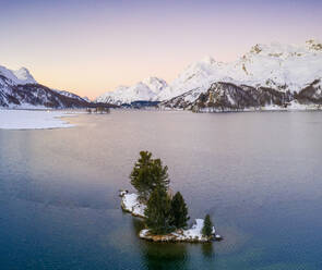 Einsame Bäume inmitten des Silser Sees, umrahmt von schneebedeckten Bergen in der Morgendämmerung, Engadin, Kanton Graubünden, Schweiz, Europa - RHPLF17636