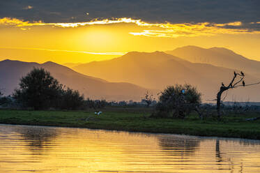 Sonnenaufgang über dem See Kerkini, Mazedonien, Griechenland, Europa - RHPLF17668