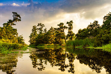 Cane Bayou, New Orleans, Louisiana, Vereinigte Staaten von Amerika, Nordamerika - RHPLF17706