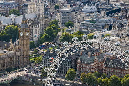 Das London Eye und Jubilee Gardens mit den Houses of Parliament in der Ferne, London, England, Vereinigtes Königreich, Europa - RHPLF17729