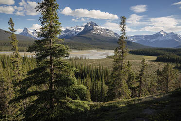 Flusstal und Mount Sarback, Banff-Nationalpark, UNESCO-Welterbe, Alberta, Kanadische Rocky Mountains, Kanada, Nordamerika - RHPLF17747