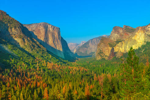 Aussichtspunkt Tunnel View im Yosemite National Park, Aussichtspunkt El Capitan und Half Dome, UNESCO-Weltkulturerbe, Kalifornien, Vereinigte Staaten von Amerika, Nordamerika - RHPLF17766