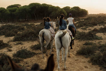 Mutter mit Töchtern reiten Pferde auf Landschaft gegen Himmel während Sonnenuntergang - ERRF04441
