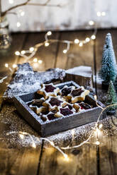 Weihnachtsbeleuchtung und ein Tablett mit Marmeladenplätzchen in Sternform - SBDF04354