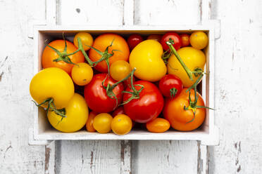 Kiste mit reifen Tomaten - LVF09002