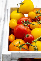 Kiste mit reifen Tomaten - LVF09003