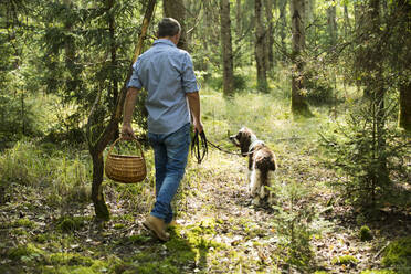 Älterer Mann geht mit Hund spazieren und sucht Pilze im Wald - MAEF13026