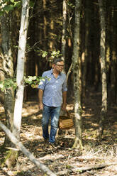Älterer Mann, der einen Korb hält und im Wald an einem sonnigen Tag nach Pilzen sucht - MAEF13029