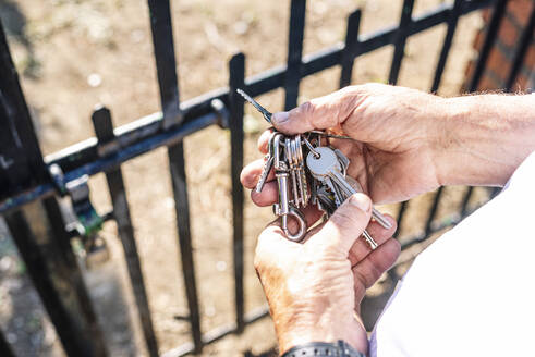 Hands of senior man holding keys at gate of vegetable garden - JCMF01491