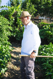 Senior man wearing hat holding shovel while standing in vegetable garden - JCMF01508
