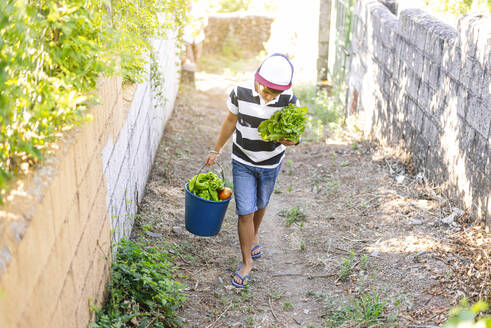 Boy carrying vegetables while walking on land in community garden - JCMF01513