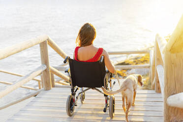 Frau im Rollstuhl mit Hund auf Fußweg am Strand - PGF00046