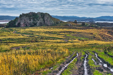 Blick auf eine grasbewachsene Landschaft bei bewölktem Himmel, Halbinsel Krabbe, Russland - KNTF05453