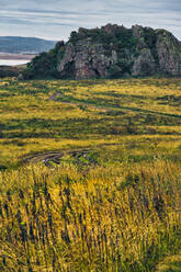 Scenic view of green landscape against sky, Krabbe Peninsula, Russia - KNTF05454