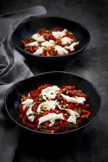 Zwei Schalen vegetarischer Salat mit roter Paprika, Mozzarella, gerösteten Pinienkernen, Petersilie und Schnittlauch - LVF09014