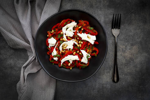 Schüssel mit vegetarischem Salat mit roter Paprika, Mozzarella, gerösteten Pinienkernen, Petersilie und Schnittlauch - LVF09015