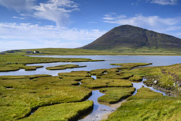 Sumpfgebiet auf der Isle of Harris mit dem Hügel Ceapabhal im Hintergrund - ELF02215
