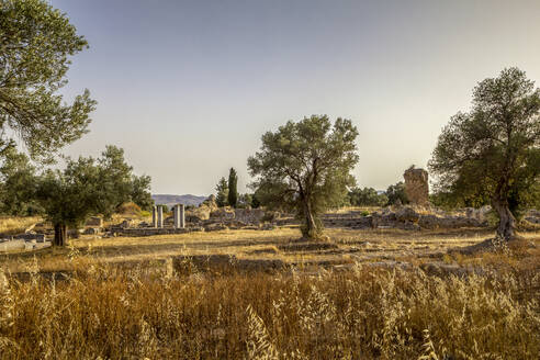 Antiker Apollon-Tempel bei Sonnenuntergang in Gortyn, Kreta, Griechenland - MAMF01311
